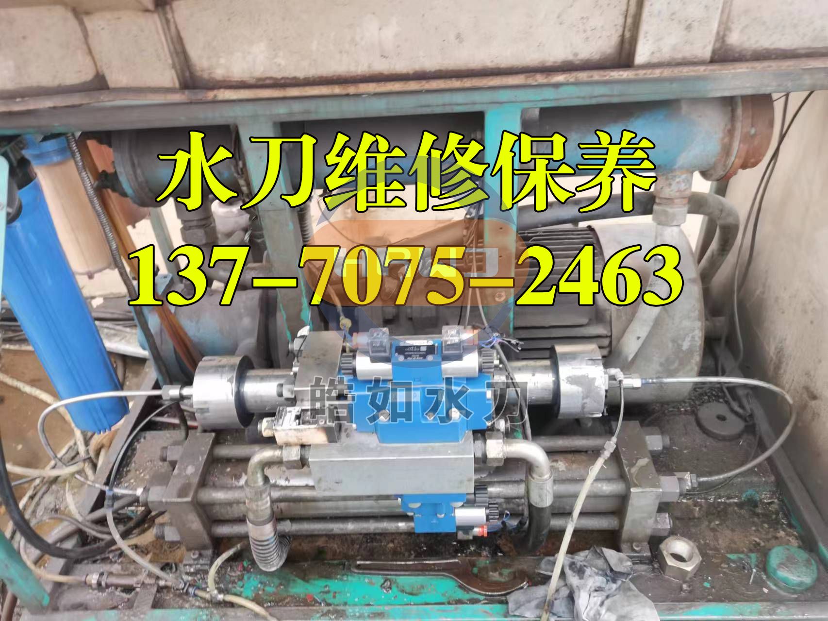 微信图片_20240924084431.jpg
